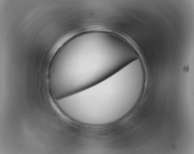 X0000113101293200908280943