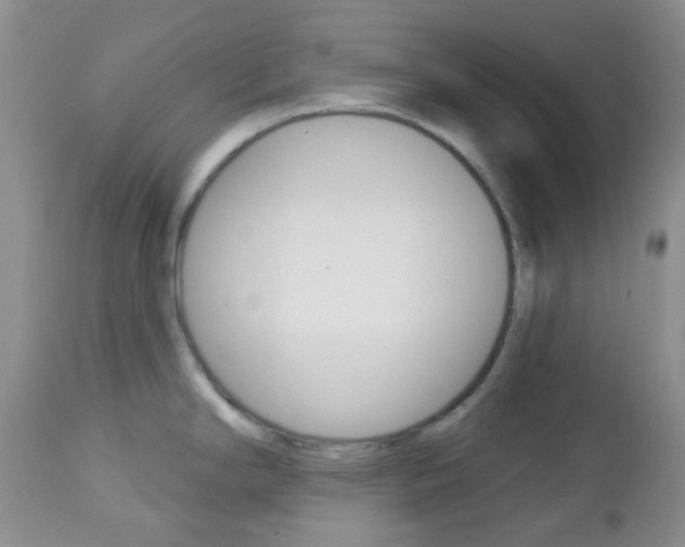 X0000113101294200908280943