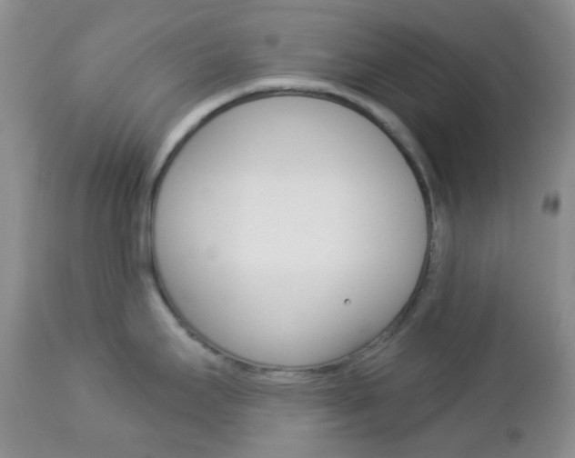 X0000113101295200908280943