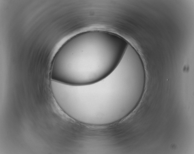 X0000113101296200908280943