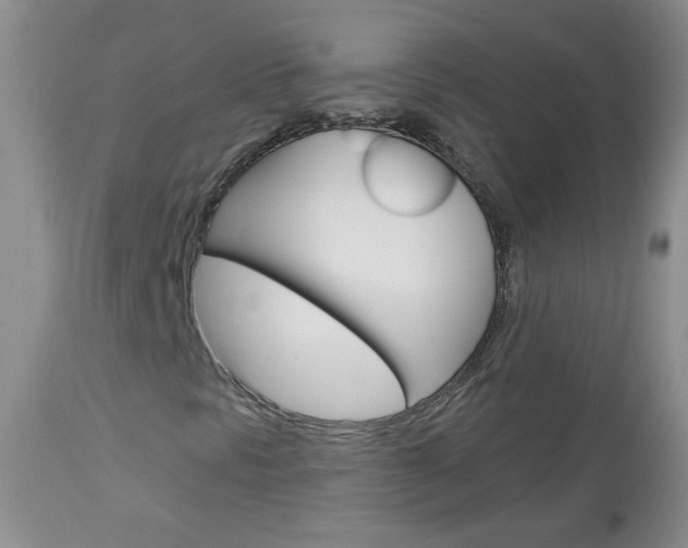 X0000113101297200908280942