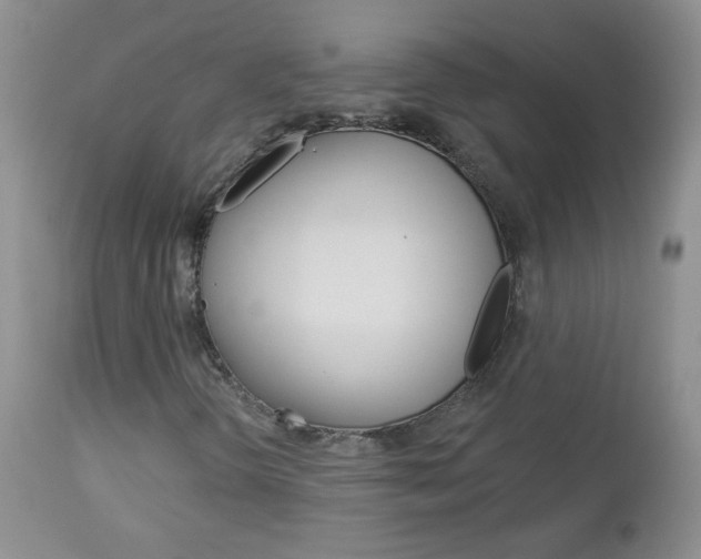 X0000113101298200908280942