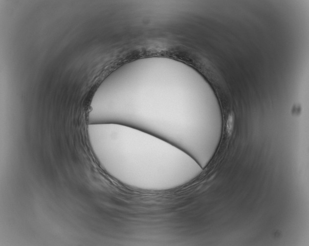 X0000113101299200908280942