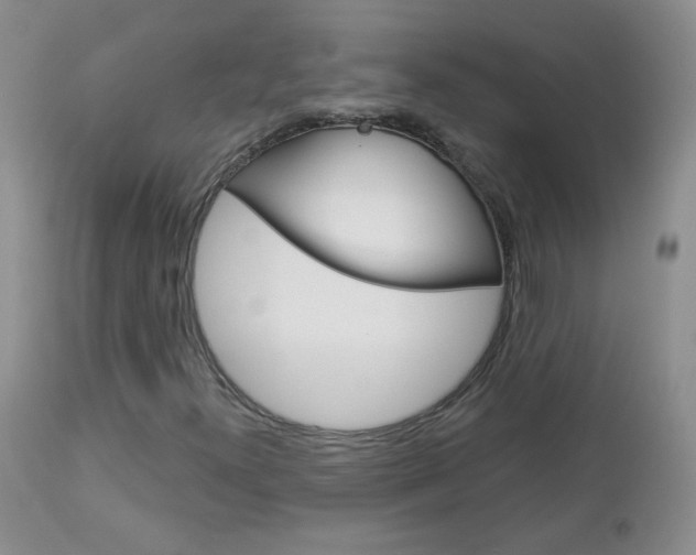 X0000113101300200908280942