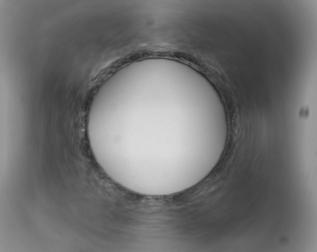 X0000113101301200908280942