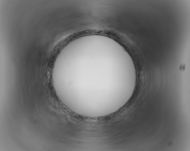 X0000113101302200908280942