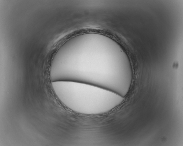 X0000113101303200908280942