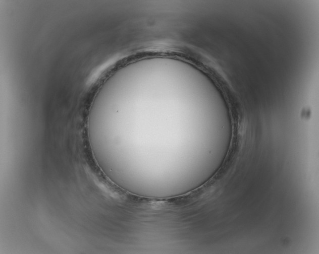 X0000113101304200908280943