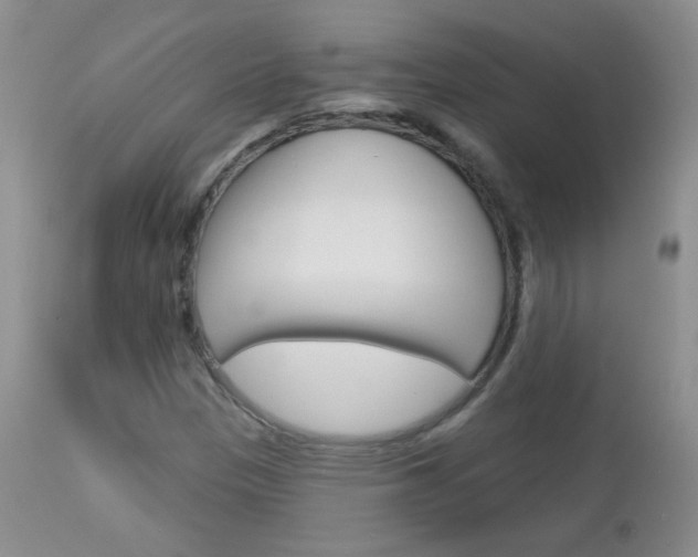 X0000113101305200908280943