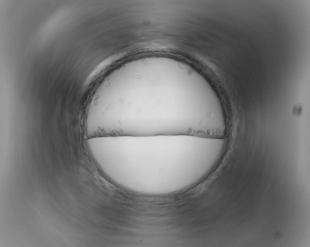 X0000113101306200908280943