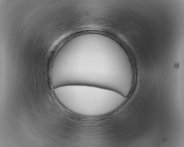 X0000113101307200908280943