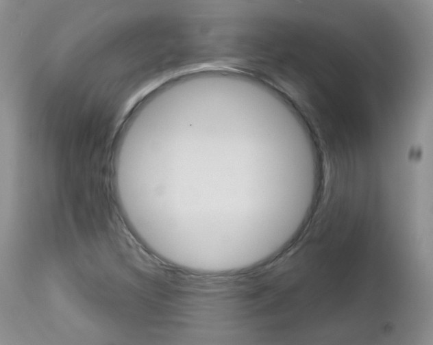 X0000113101308200908280943