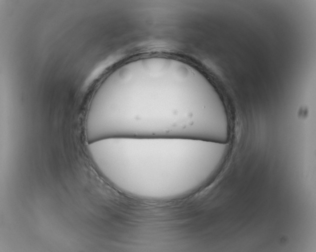 X0000113101309200908280943