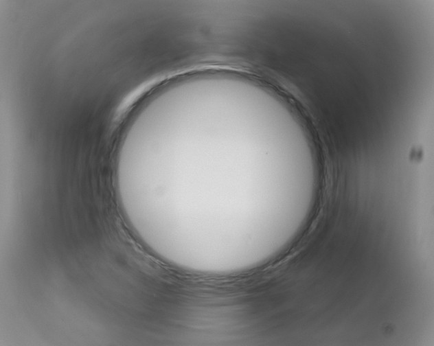 X0000113101310200908280943