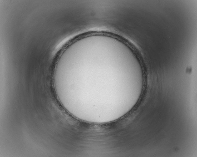 X0000113101311200908280943