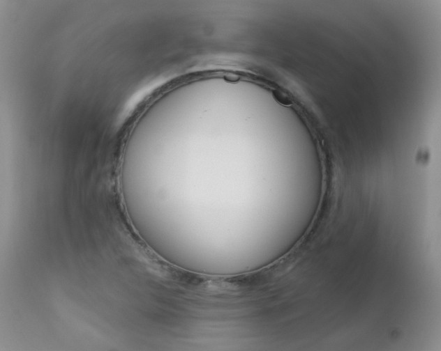 X0000113101312200908280943