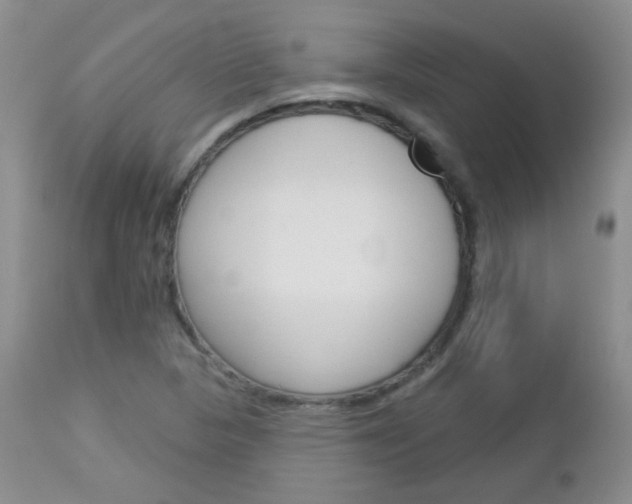 X0000113101313200908280943