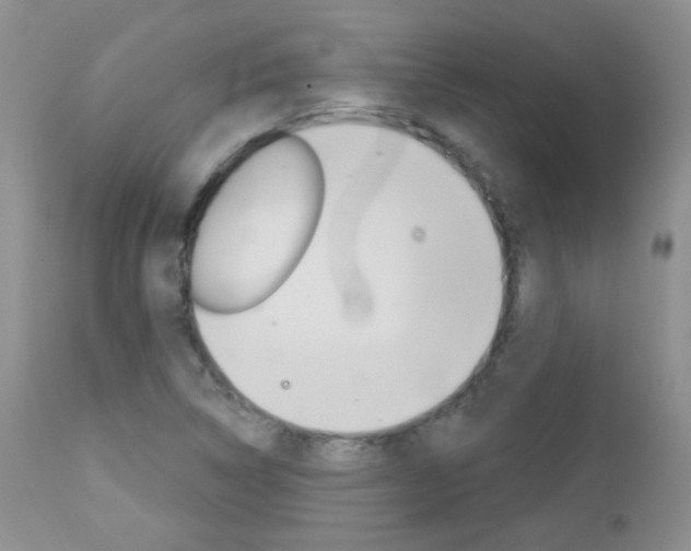 X0000113101314200908280943