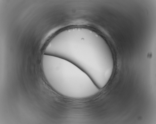 X0000113101315200908280943