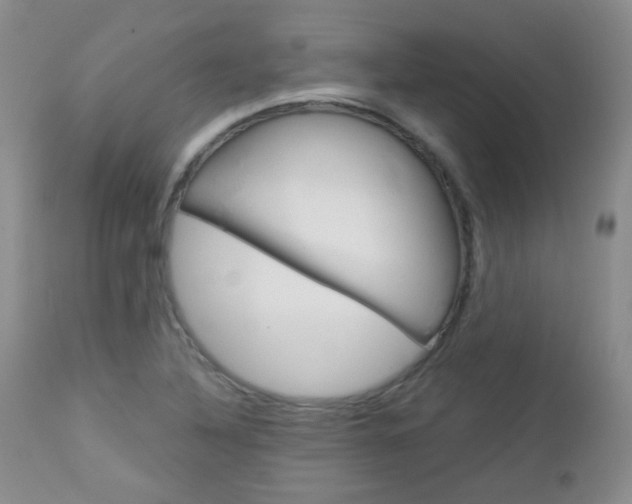 X0000113101316200908280943