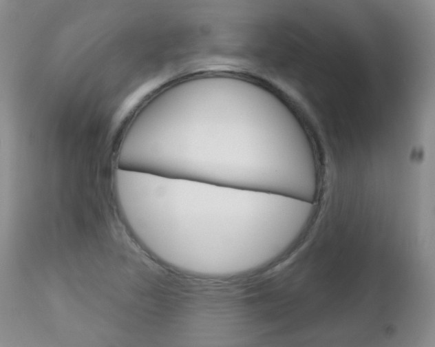 X0000113101317200908280943