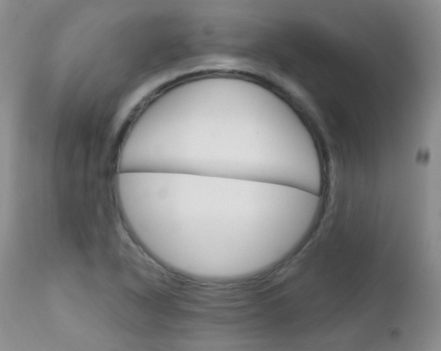 X0000113101318200908280943