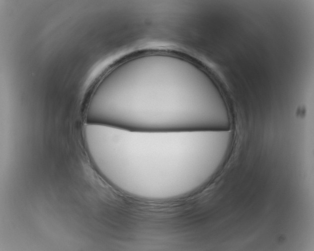 X0000113101319200908280943