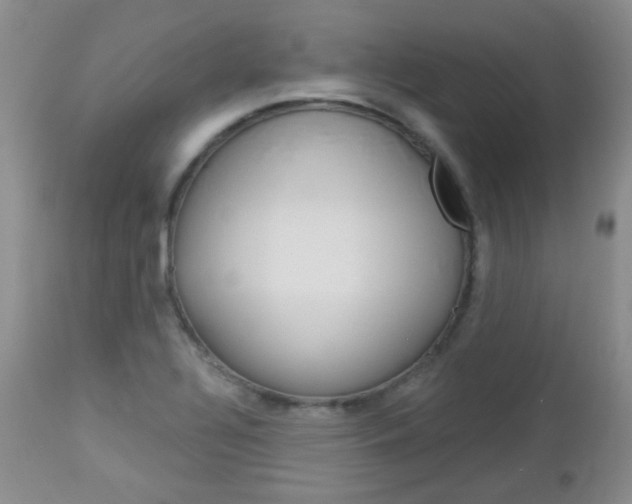 X0000113101320200908280943