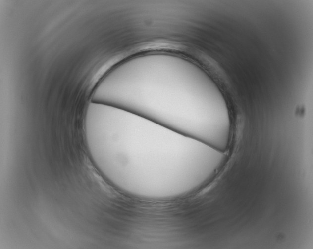 X0000113101321200908280943