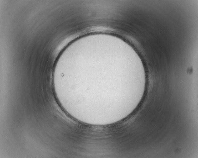 X0000113101322200908280943