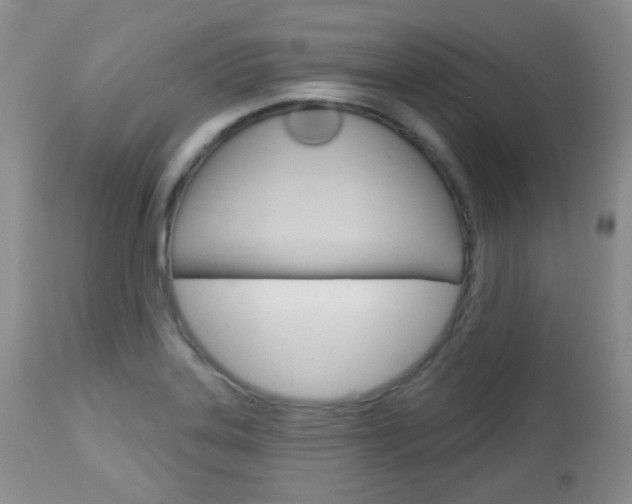 X0000113101323200908280943