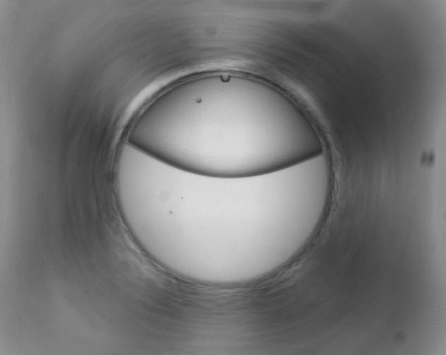 X0000113101324200908280943