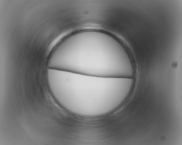 X0000113101325200908280943