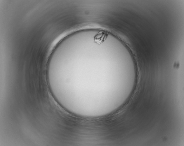 X0000113101326200908280943