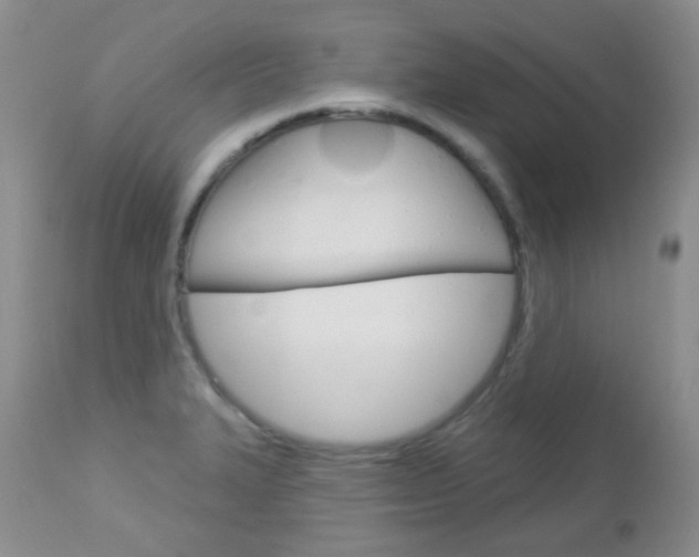 X0000113101327200908280943