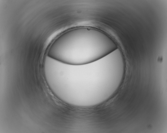 X0000113101328200908280943