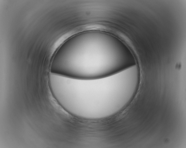 X0000113101330200908280943