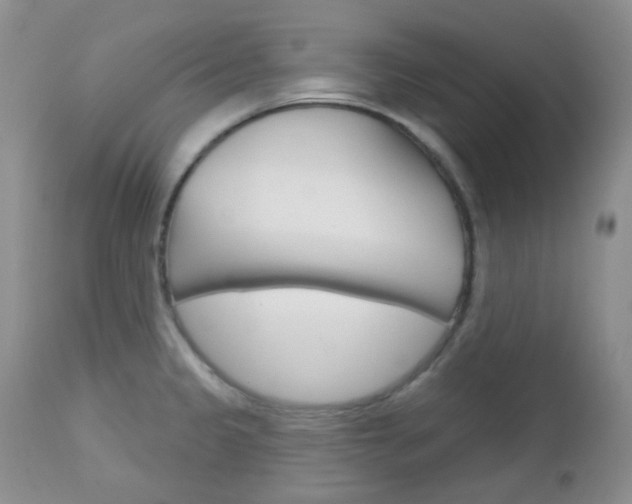 X0000113101333200908280943