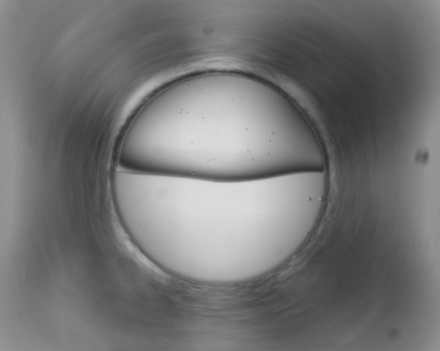 X0000113101334200908280943