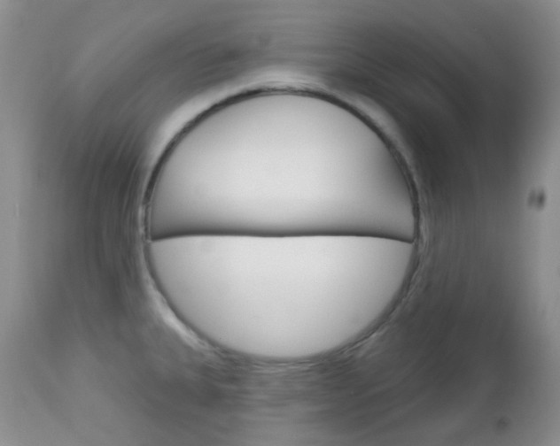 X0000113101335200908280943