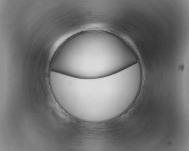 X0000113101336200908280943
