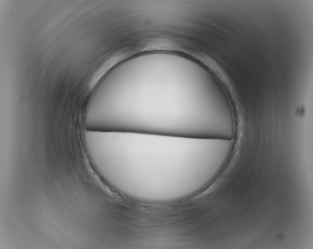 X0000113101337200908280943