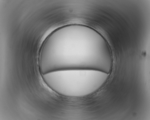 X0000113101339200908280943