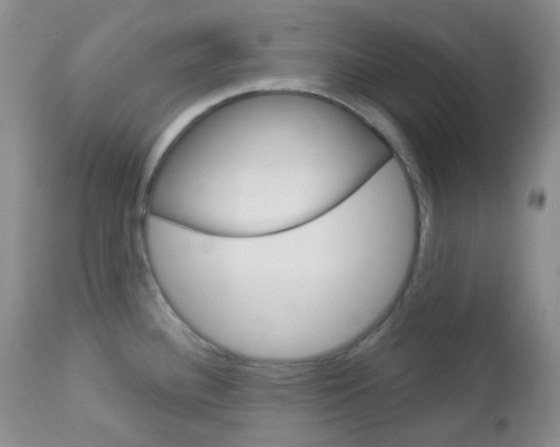 X0000113101340200908280943