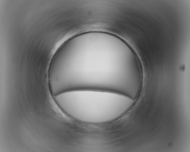 X0000113101341200908280943
