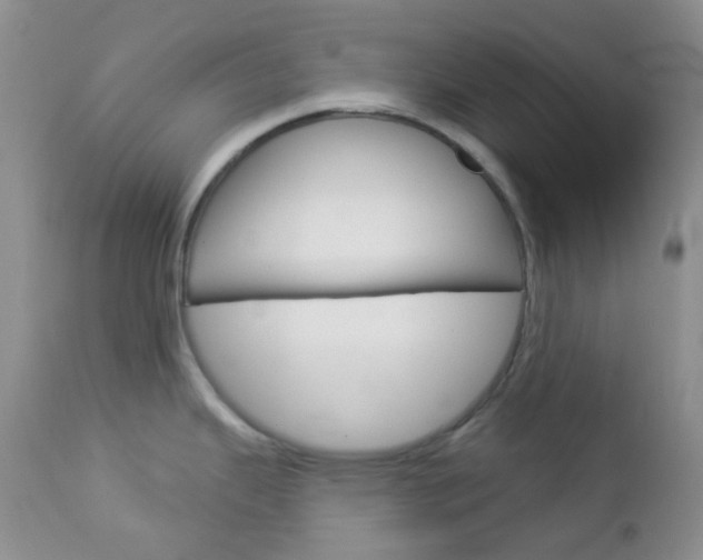 X0000113101343200908280943