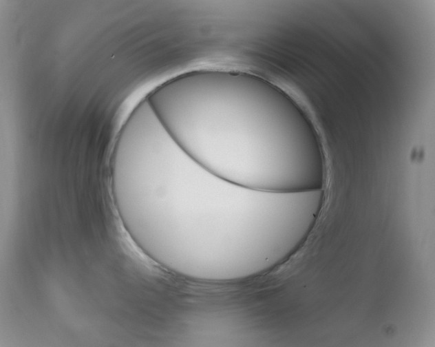 X0000113101344200908280943