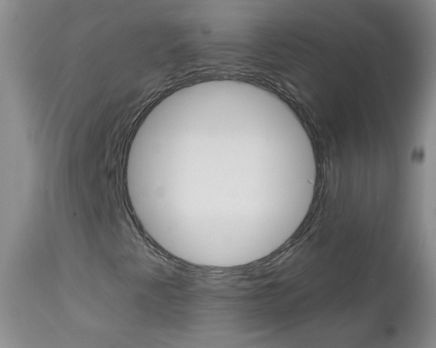 X0000113101345200908280942