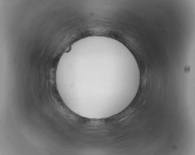 X0000113101346200908280942
