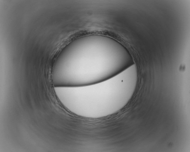 X0000113101348200908280942